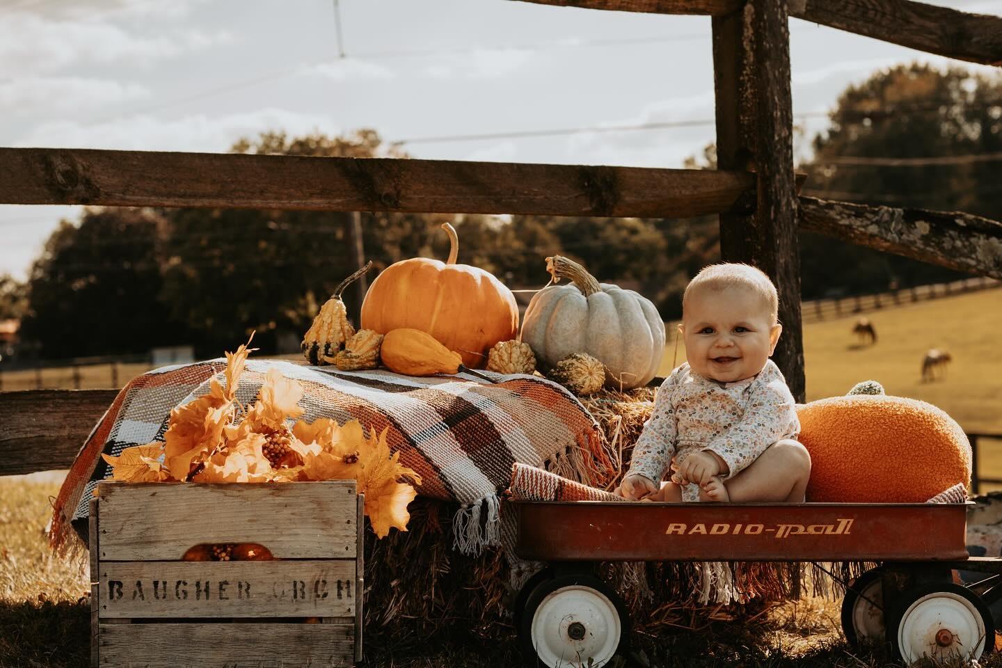 Affordable Fall Mini Sessions | York, Pennsylvania