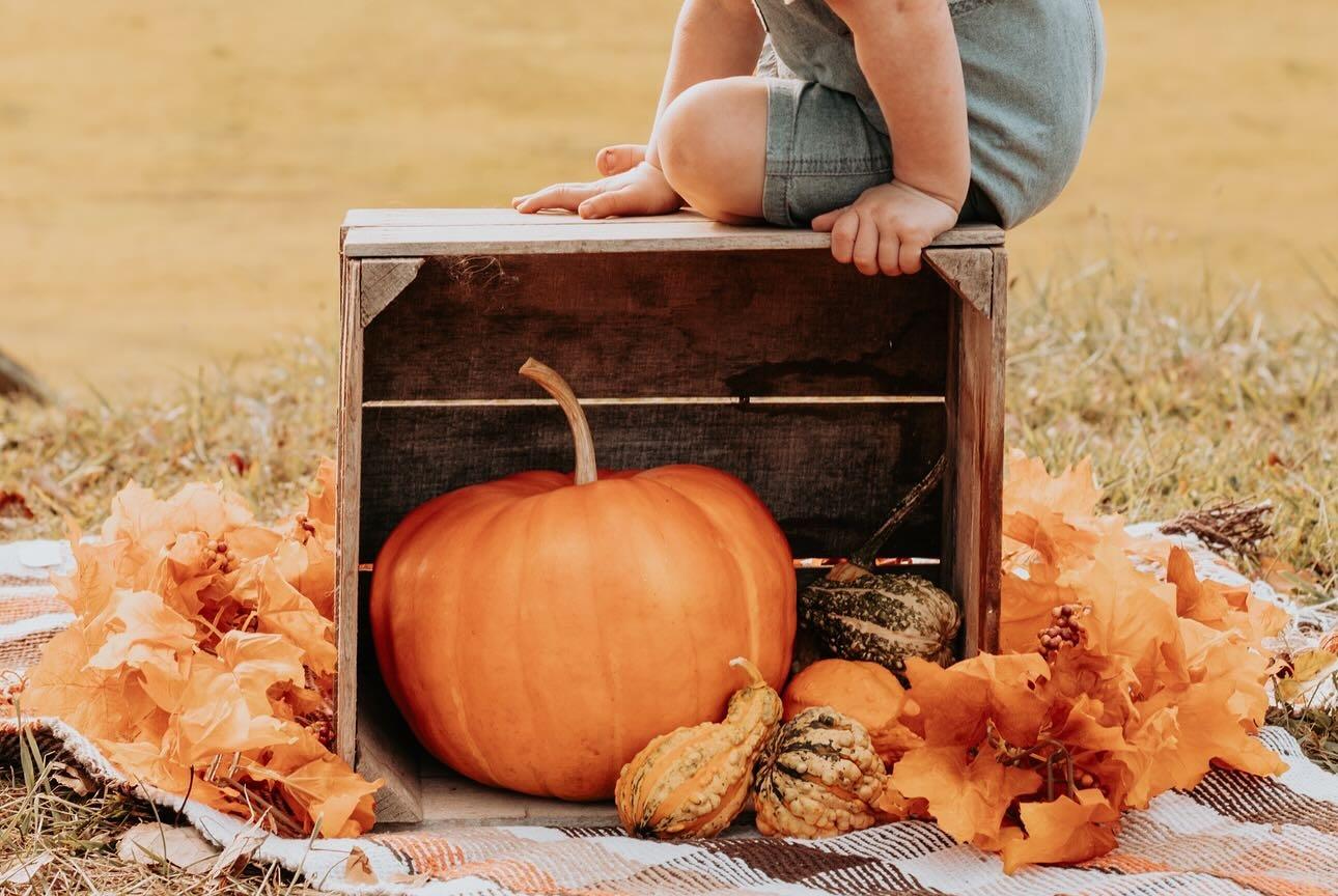 Affordable Fall Mini Sessions | York, Pennsylvania
